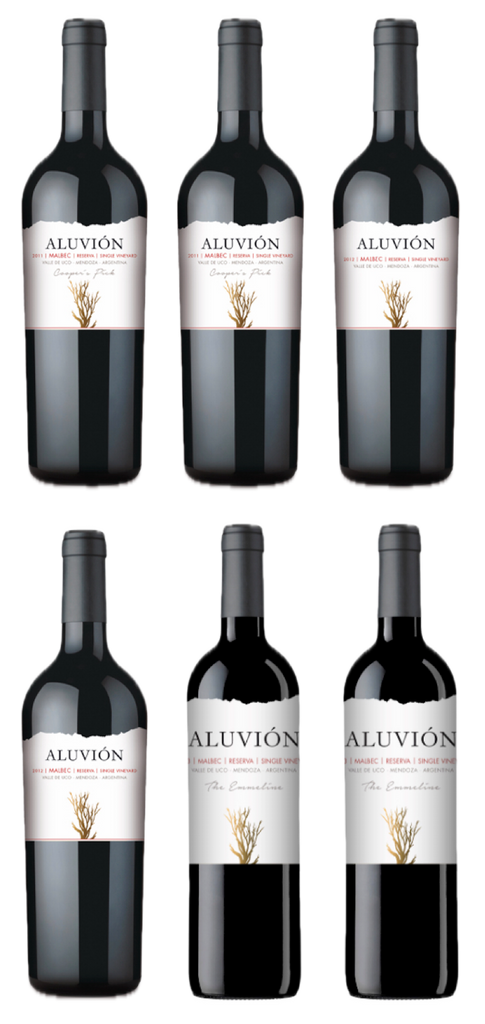 Malbec Half Selection - Half Case of our Oldest Wines (2011, 2012, 2013)