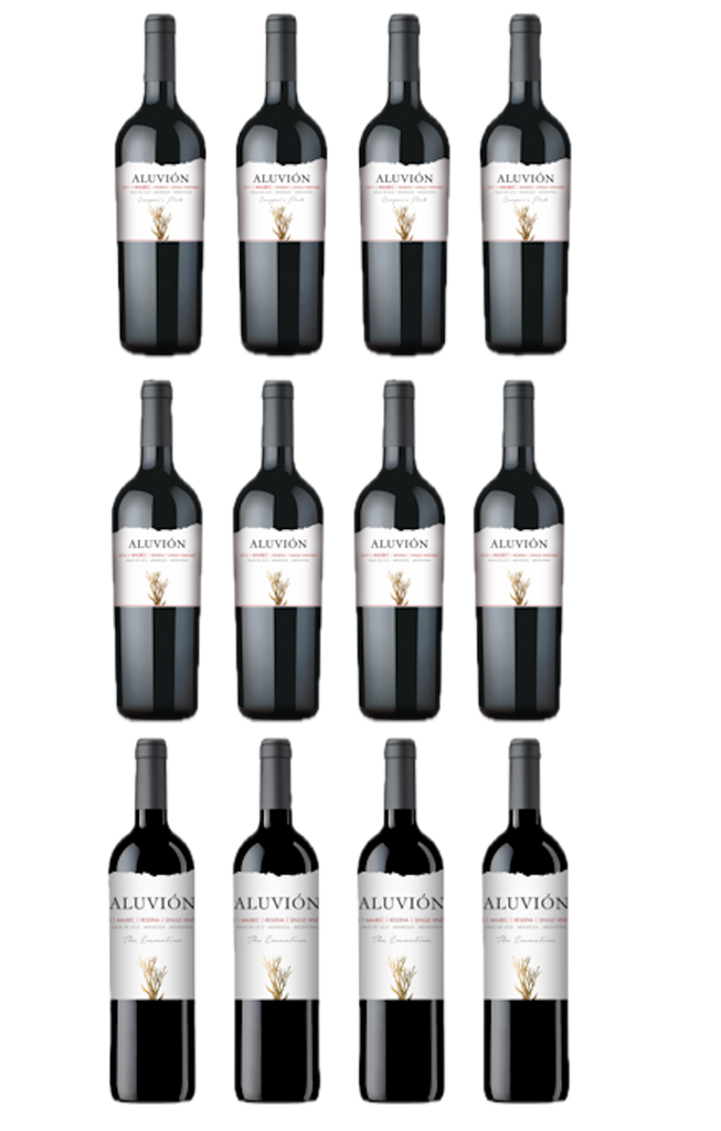 Full case mixed reds - 9 Malbecs, 3 Cabernet Francs (12 bottles).